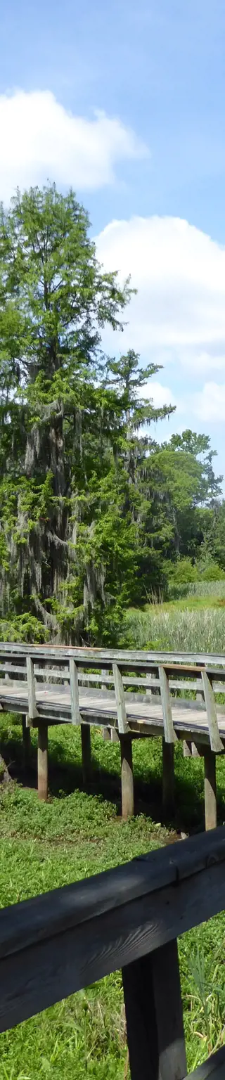 Erlebe die attraktive Mischung aus Alt und Neu